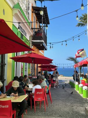 Palmas El Rincón De Paco by null