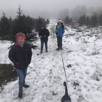 Bob's Trees - Nurseries & Gardening Near Me - Hagaman, New York