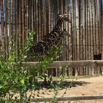 ABQ BioPark Zoo - Zoos Near Me - Albuquerque, New Mexico
