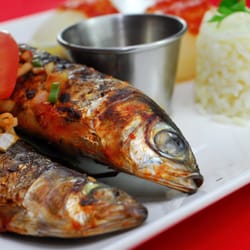 Brazas Portugal - Sardines