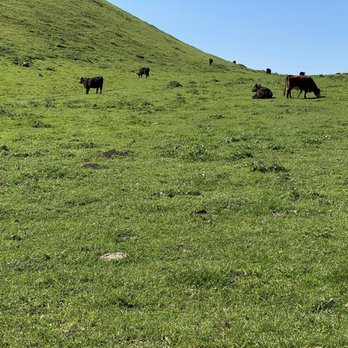 Mission Peak Trail Head - Hiking Near Me - Fremont, California
