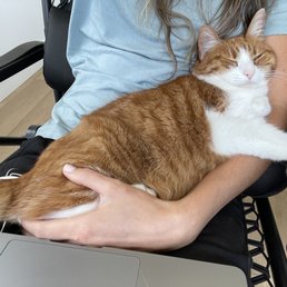 My little cat, Emmy