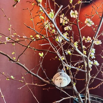 Lucian Books and Wine - Flower decor at the reception area - Wine Bars Near Me - Atlanta, Georgia Lucian Books and Wine - Flower decor at the reception area - Wine Bars Near Me - Atlanta, Georgia