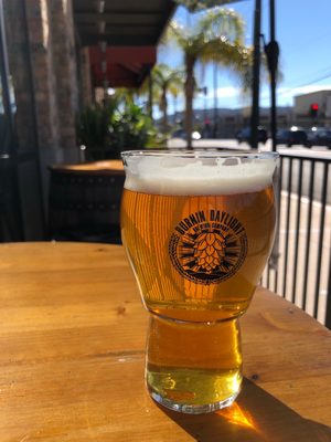Burnin Daylight Brewing Company by null