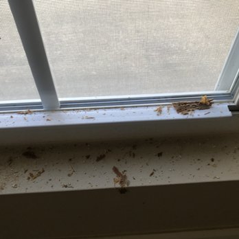 American Homes 4 Rent - window sills - Property Management Near Me - Greensboro, North Carolina