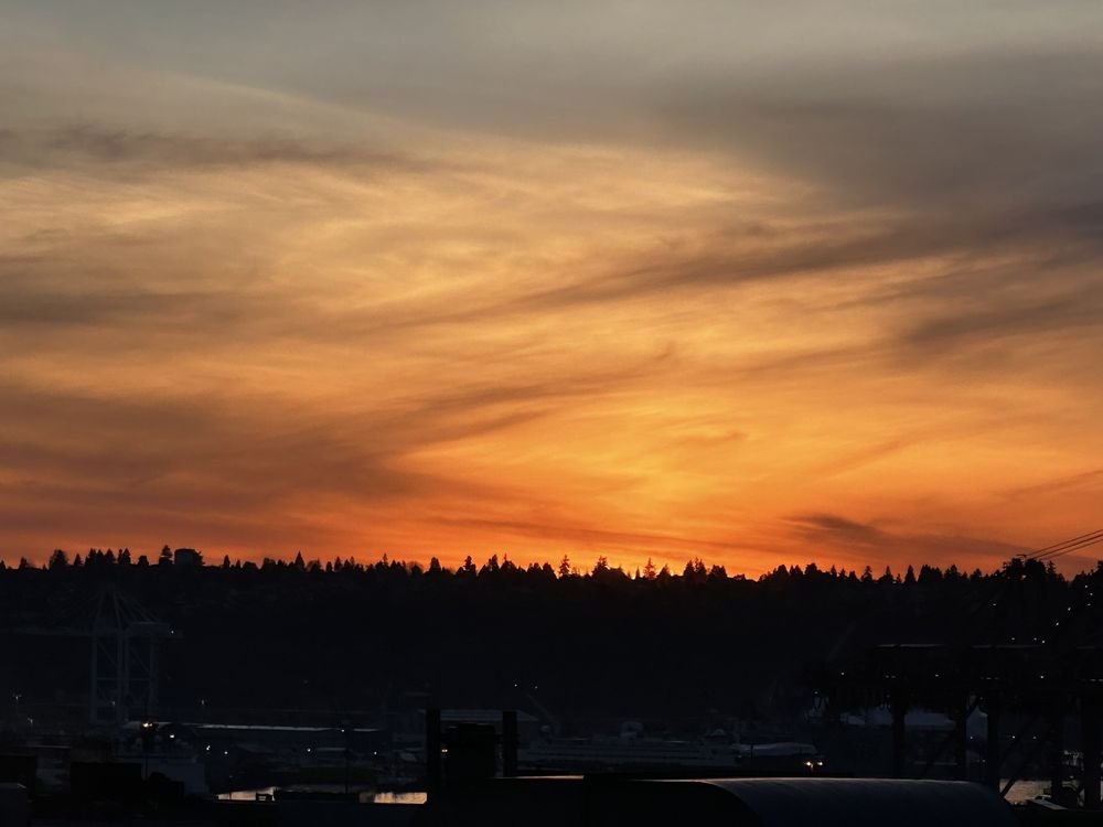 HANA APARTMENTS Updated September 2024 60 Photos 101 6th Ave S