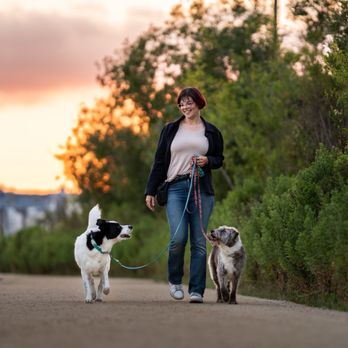 Dog Inspired Photography - Pet Photography Near Me