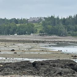 Minister Island - Road at low tide