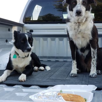 Lima Limon Restaurant - My dogs are eyeballing my Felipe... p.s.  I highly recommend it if you are too afraid to move from your comfort zone - Peruvian Near Me - Kuna, Idaho
