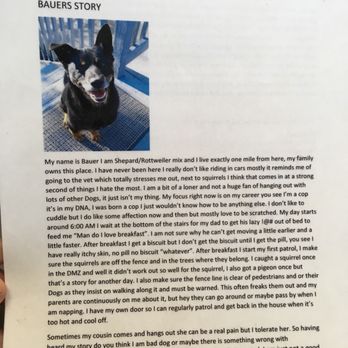 DoggEDayz - Boarding isn't for all dogs 1/2 - Pet Boarding Near Me - Westminster, Colorado DoggEDayz - Boarding isn't for all dogs 1/2 - Pet Boarding Near Me - Westminster, Colorado