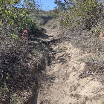 Torrey Pines Extension - Branch to the west toward the DAR Overlook - Hiking Near Me - Del Mar, California