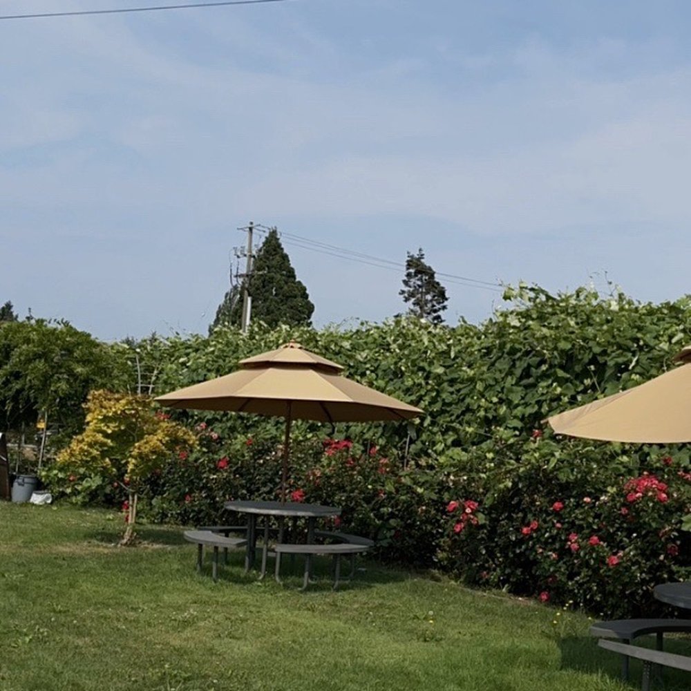Lulu Island Winery - Patio tables - Wineries Near Me - Richmond, British Columbia Lulu Island Winery - Patio tables - Wineries Near Me - Richmond, British Columbia