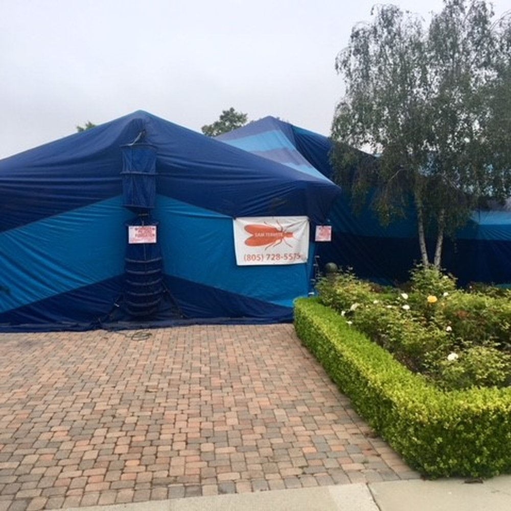 Sam Termite - Pest Control Near Me - Santa Barbara, California Sam Termite - Pest Control Near Me - Santa Barbara, California