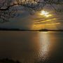 Photo of Dieksee