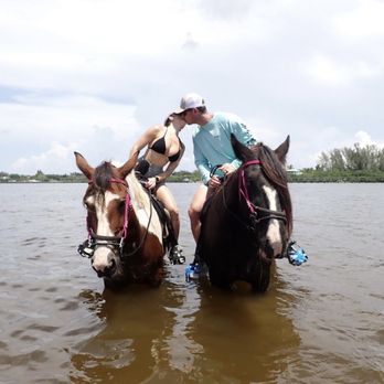 CPonies - Horseback Riding Near Me - Bradenton, Florida