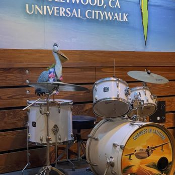 Jimmy Buffett's Margaritaville - Drums - Bars Near Me - Universal City, California Jimmy Buffett's Margaritaville - Drums - Bars Near Me - Universal City, California