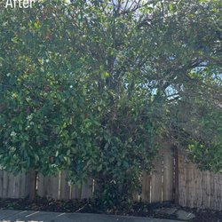 Macias Landscaping & Paving