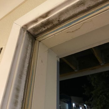 Pro Active Pest Control - Pest Control Near Me Pro Active Pest Control - Pest Control Near Me