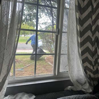 Affordable Tree Care - Our view at 7:45 , takedown of the palm tree , it has begun - Tree Services Near Me Affordable Tree Care - Our view at 7:45 , takedown of the palm tree , it has begun - Tree Services Near Me