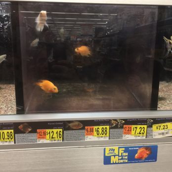 Walmart - Disgusting pet department. Fish tanks with dead fish & tons of algae on the glass. Why shop there when there is a Petsmart right next door? - Department Stores Near Me - San Diego, California Walmart - Disgusting pet department. Fish tanks with dead fish & tons of algae on the glass. Why shop there when there is a Petsmart right next door? - Department Stores Near Me - San Diego, California