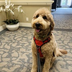 Carefield Castro Valley Assisted Living & Memory Care - Nephew, Cooper cheering up the residents