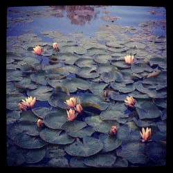 Silverlake Reiki - Relax and reconnect with yourself with reiki.