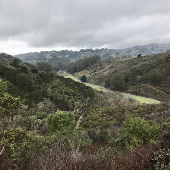 San Pedro Valley Park - A break from the trees reveals green hills and city views - Parks Near Me - Pacifica, California