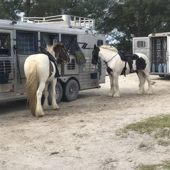 CPonies - Chilling at the trailer, waiting on riders. - Horseback Riding Near Me - Bradenton, Florida