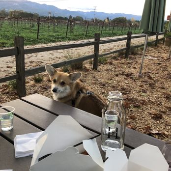 Honig Vineyard & Winery - Wine Tasting Room Near Me - Rutherford, California Honig Vineyard & Winery - Wine Tasting Room Near Me - Rutherford, California
