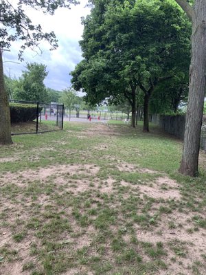 Cobb’s Hill Dog Park