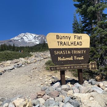 Bunny Flat Trail - Hiking Near Me - Mount Shasta, California