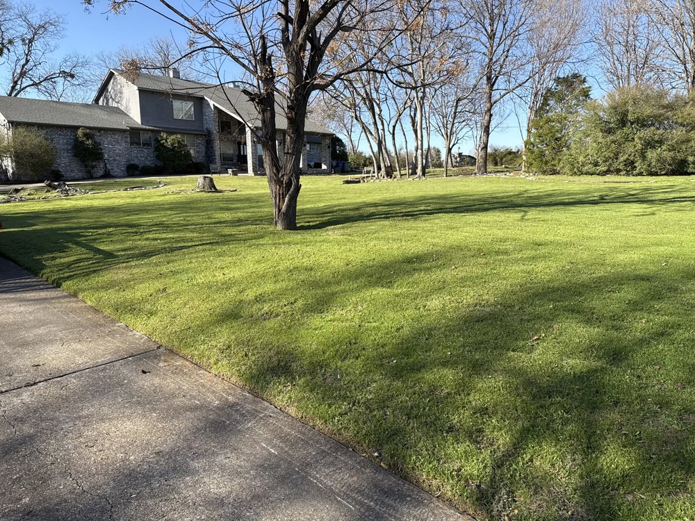 Ca Landscape - tree service in Dallas, TX