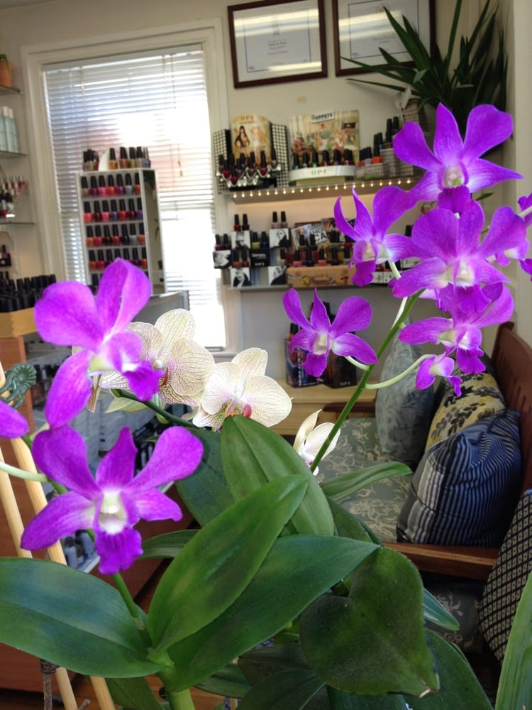 NAILS BY NOEL Updated August 2024 16 Reviews 8 Muzzey St