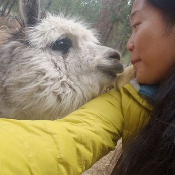Last Minute Ranch - Boop~ kissies - Farms Near Me - Crescent Lake, Oregon