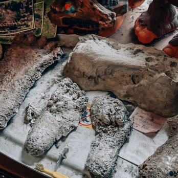Bigfoot Discovery Museum - Museums Near Me - Felton, California