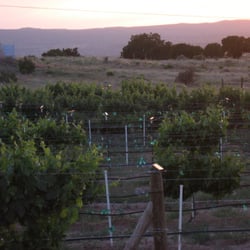 Casa Abril Vineyards & Winery