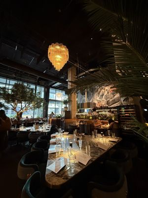V Modern Italian by null