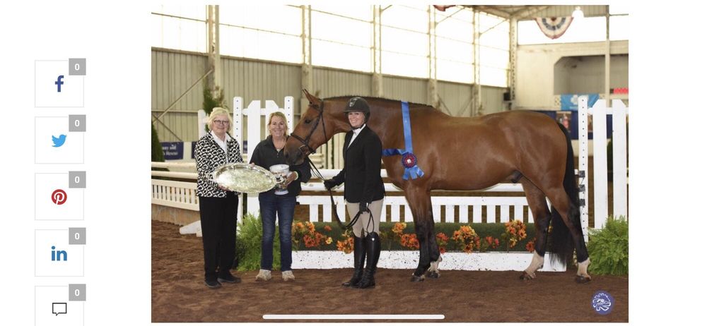Hasty Hills Farm - equestrian in Java Center, NY
