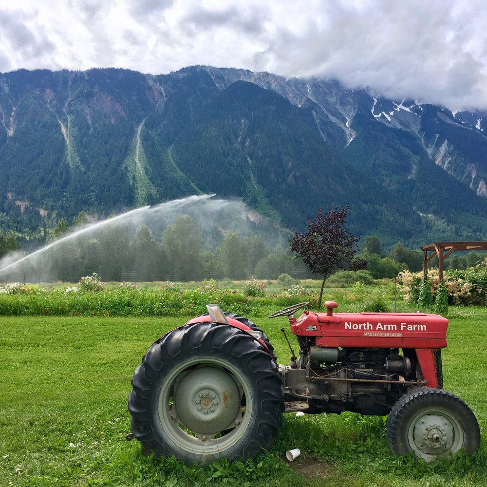 North Arm Farm - Farmers Market Near Me - Pemberton, British Columbia