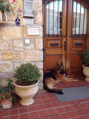 Casa Lavanda Boutique Hotel & Restaurant by null