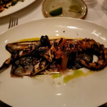 Ristorante TOSCA - Polpo alla Griglia - Italian Near Me - Washington, DC, District of Columbia Ristorante TOSCA - Polpo alla Griglia - Italian Near Me - Washington, DC, District of Columbia