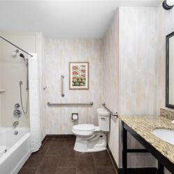 Hampton Inn & Suites Hope - Guest room bath