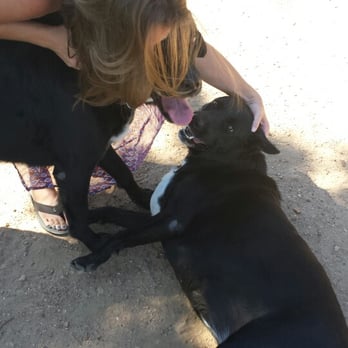 Barking Springs Dog Ranch - Kennedy is so happy to see Jessica! - Pet Sitting Near Me - Del Valle, Texas Barking Springs Dog Ranch - Kennedy is so happy to see Jessica! - Pet Sitting Near Me - Del Valle, Texas