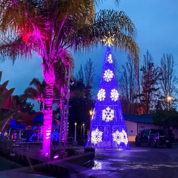 Six Flags Discovery Kingdom - A Christmas tree - Amusement Parks Near Me - Vallejo, California Six Flags Discovery Kingdom - A Christmas tree - Amusement Parks Near Me - Vallejo, California