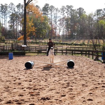 Painted Horse Winery - Wineries Near Me - Alpharetta, Georgia Painted Horse Winery - Wineries Near Me - Alpharetta, Georgia