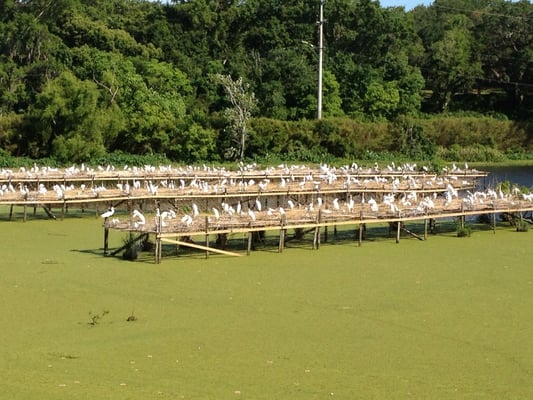 TABASCO Country Store by null