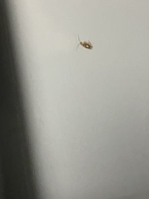 Champions Park Apartments