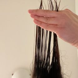 Greenwich Top Salon - 3-the day of the butchering