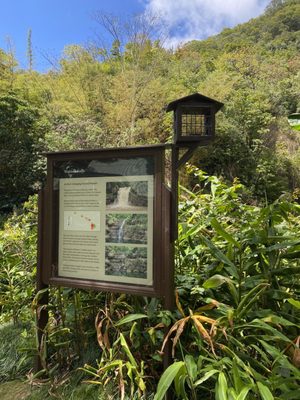 Waimea Valley by null