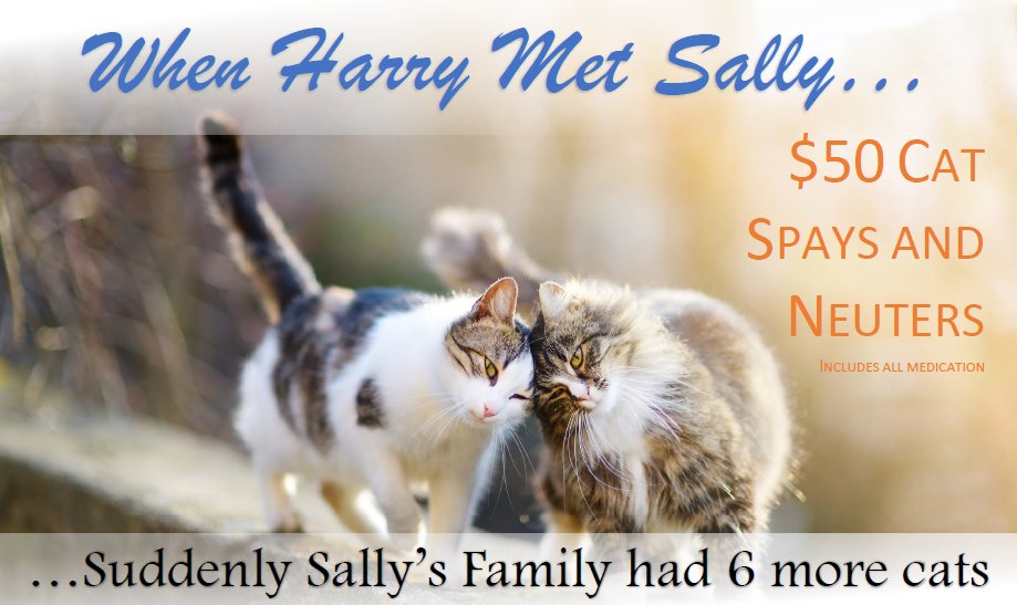 PRECISION VETERINARY Updated September 2024 12 Photos & 13 Reviews